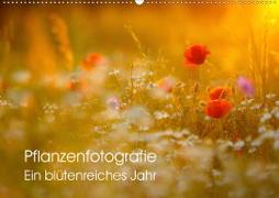 Pflanzenfotografie - Ein blütenreiches Jahr (Wandkalender 2020 DIN A2 quer)