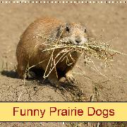 Funny Prairie Dogs (Wall Calendar 2020 300 × 300 mm Square)