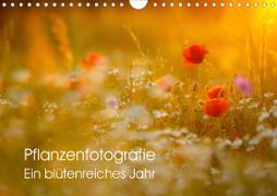 Pflanzenfotografie - Ein blütenreiches Jahr (Wandkalender 2020 DIN A4 quer)