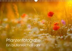 Pflanzenfotografie - Ein blütenreiches Jahr (Wandkalender 2020 DIN A3 quer)