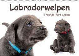 Labradorwelpen - Freunde fürs Leben (Wandkalender 2020 DIN A2 quer)