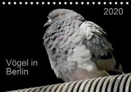 Vögel in Berlin (Tischkalender 2020 DIN A5 quer)