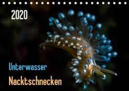 Unterwasser - Nacktschnecken 2020 (Tischkalender 2020 DIN A5 quer)