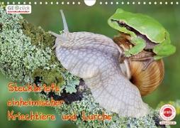 GEOclick Lernkalender: Steckbriefe einheimischer Kriechtiere und Lurche (Wandkalender 2020 DIN A4 quer)