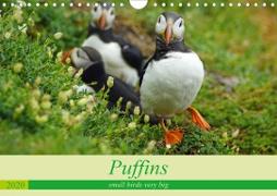 Puffins - small birds very big (Wall Calendar 2020 DIN A4 Landscape)