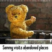Sammy visits abandoned places (Wall Calendar 2020 300 × 300 mm Square)