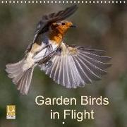 Garden Birds in Flight (Wall Calendar 2020 300 × 300 mm Square)