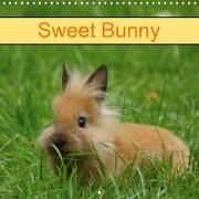 Sweet Bunny (Wall Calendar 2020 300 × 300 mm Square)