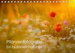 Pflanzenfotografie - Ein blütenreiches Jahr (Tischkalender 2020 DIN A5 quer)