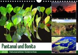 Pantanal und Bonito (Wandkalender 2020 DIN A4 quer)