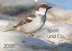 Spatz und Co. (Wandkalender 2020 DIN A3 quer)
