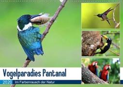 Vogelparadies Pantanal (Wandkalender 2020 DIN A2 quer)