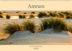 Amrum Insel am Wattenmeer (Wandkalender 2020 DIN A2 quer)
