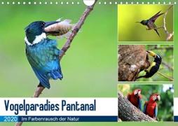 Vogelparadies Pantanal (Wandkalender 2020 DIN A4 quer)