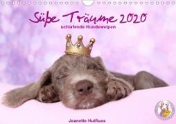 Süße Träume 2020 - schlafende Hundewelpen (Wandkalender 2020 DIN A4 quer)
