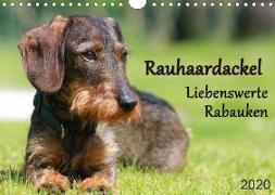 Liebenswerte Rabauken - Rauhaardackel (Wandkalender 2020 DIN A4 quer)