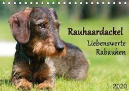 Liebenswerte Rabauken - Rauhaardackel (Tischkalender 2020 DIN A5 quer)