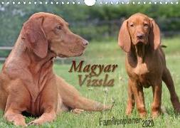 Familienplaner - Magyar Vizsla (Wandkalender 2020 DIN A4 quer)