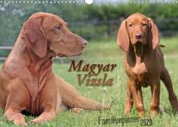 Familienplaner - Magyar Vizsla (Wandkalender 2020 DIN A3 quer)