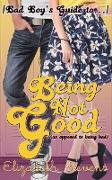 [Bad Boy's Guide to...] Being Not Good