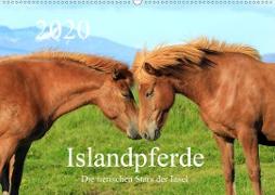 Islandpferde - Die tierischen Stars der Insel (Wandkalender 2020 DIN A2 quer)