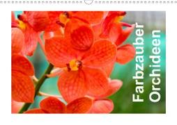Farbzauber Orchideen (Wandkalender 2020 DIN A3 quer)
