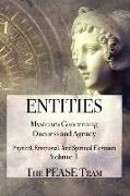 Entities: Mysteries Concerning Oneness and Agency