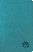 ESV Reformation Study Bible, Condensed Edition - Turquoise, Leather-Like