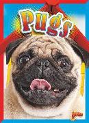 Pugs