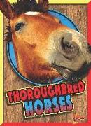 Thoroughbred Horses