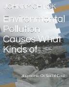 Environmental Pollution Causes What Kinds of: Economic or Social Cost
