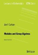 Modules and Group Algebras