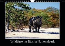 Wildtiere im Etosha Nationalpark (Wandkalender 2020 DIN A4 quer)