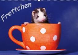Frettchen - Ferrets (Wandkalender 2020 DIN A2 quer)