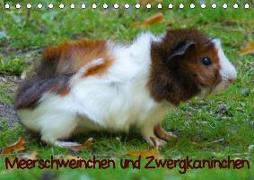 Meerschweinchen und Zwergkaninchen (Tischkalender 2020 DIN A5 quer)