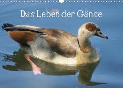 Das Leben der Gänse (Wandkalender 2020 DIN A3 quer)