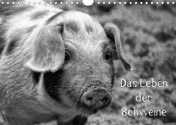 Das Leben der Schweine (Wandkalender 2020 DIN A4 quer)