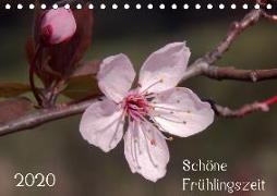 Schöne Frühlingszeit (Tischkalender 2020 DIN A5 quer)