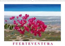 Fuerteventura (Wandkalender 2020 DIN A3 quer)