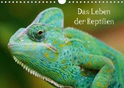 Das Leben der Reptilien (Wandkalender 2020 DIN A4 quer)
