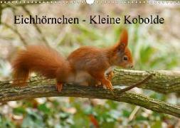 Eichhörnchen - Kleine Kobolde (Wandkalender 2020 DIN A3 quer)