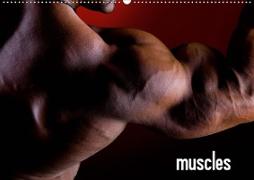 muscles (Wandkalender 2020 DIN A2 quer)