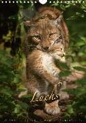 Luchs (Wandkalender 2020 DIN A4 hoch)