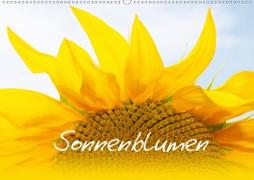 Sonnenblumen - die Blumen der Lebensfreude (Wandkalender 2020 DIN A2 quer)