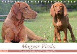 Magyar Vizsla - Vielseitiger Jagdhund mit Familienanschluss (Tischkalender 2020 DIN A5 quer)