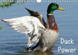 Duck Power (Wandkalender 2020 DIN A4 quer)