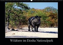 Wildtiere im Etosha Nationalpark (Wandkalender 2020 DIN A2 quer)