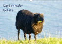 Das Leben der Schafe (Wandkalender 2020 DIN A3 quer)