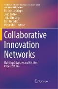 Collaborative Innovation Networks