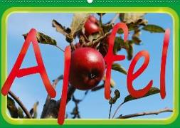 Apfel (Wandkalender 2020 DIN A2 quer)